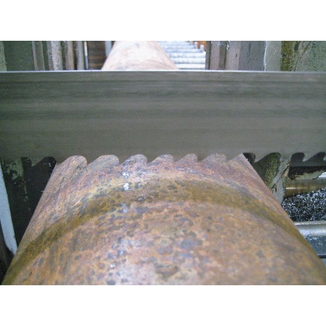3851-Sandflex® Cobra ™ PSG